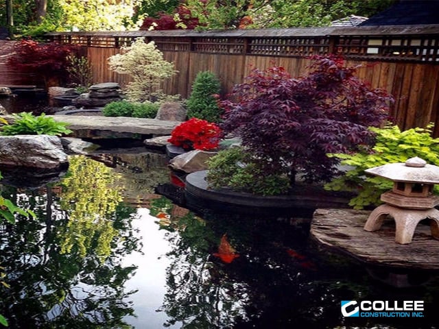 Collee Pools